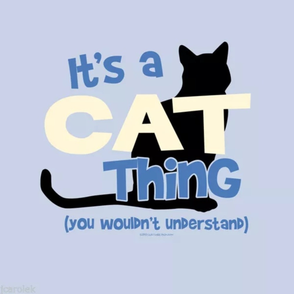 Cat T-shirt (Unisex cut) It’s A Cat Thing Unisex